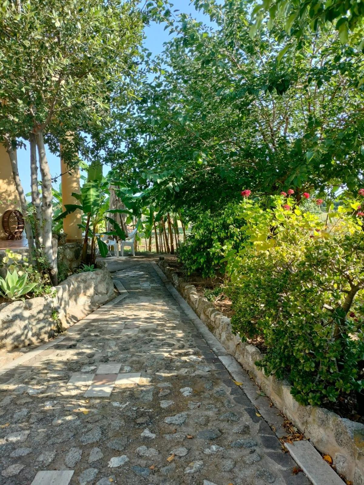 A Turri Hotell Capo Vaticano Eksteriør bilde